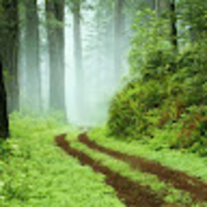 Meet your Posher, Jiaying